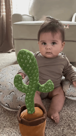Dancing Cactus Toy | لعبة الصبار الراقص
